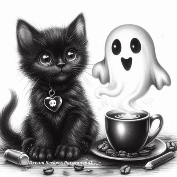 Meet your Posher, Donna - Picture 1 of 1